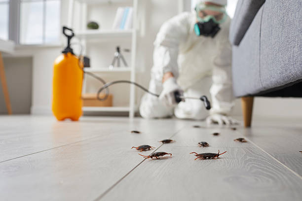 Commercial Kitchen Cockroach Control in Huntley